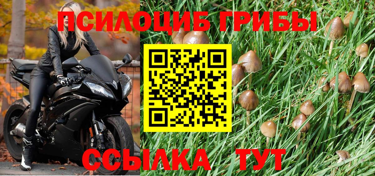 как найти   Псилоцибиновые грибы прущие грибы  Галлюциногенные грибы прущие грибы  Вход с VPN  Долгопрудный 